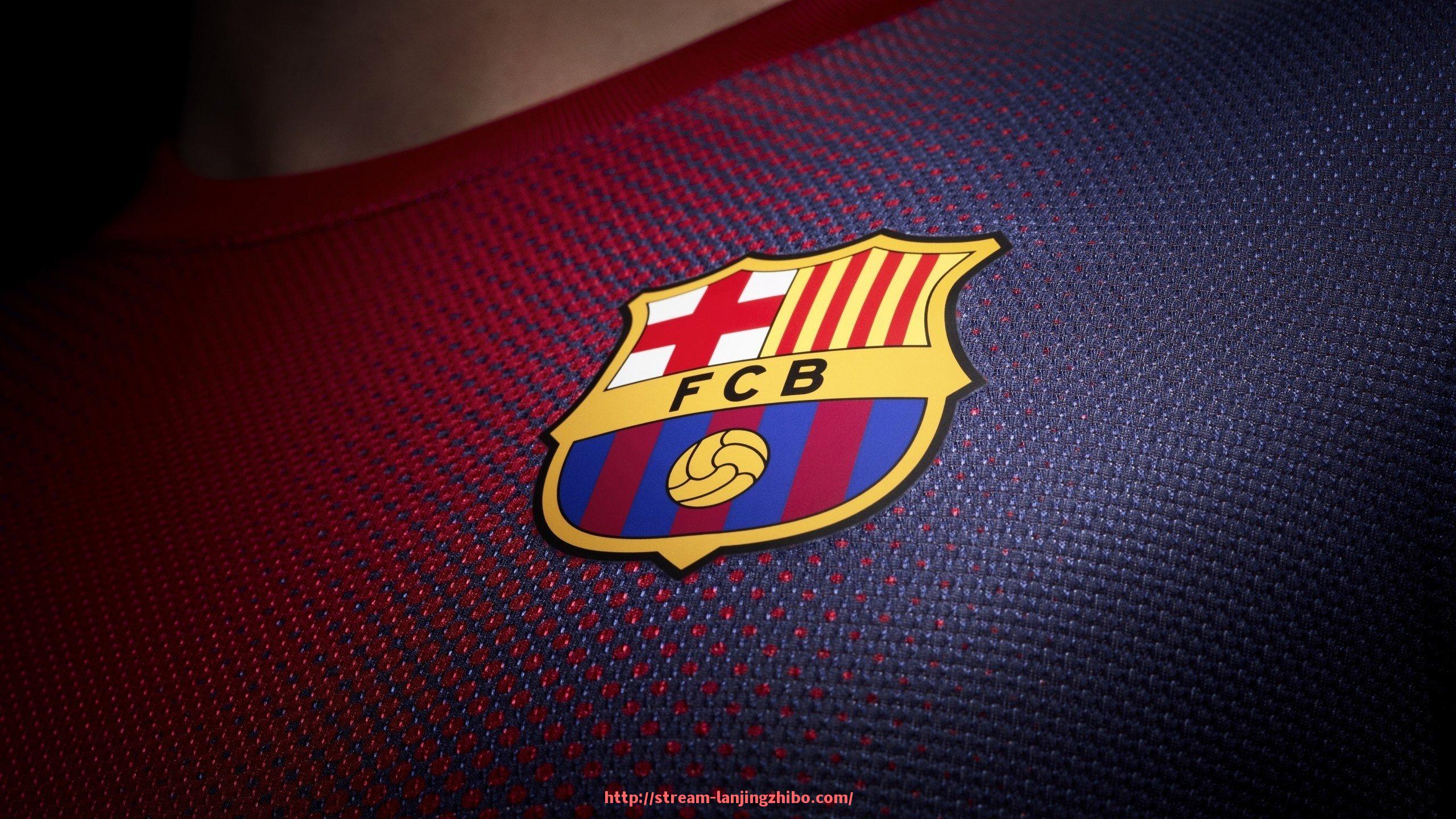 蓝鲸体育直播-德甲是否存在没有降级的球队？历史和现状分析